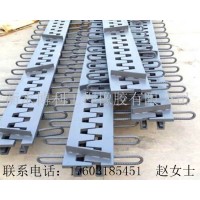 贵州桥梁工程 桥梁伸缩缝梳齿型伸缩缝供应厂家