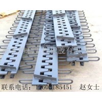 贵州桥梁工程 桥梁伸缩缝梳齿型伸缩缝供应厂家