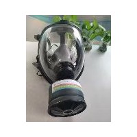 全面型防毒面罩