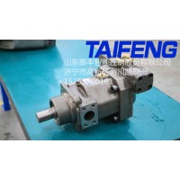 山东泰丰供应柱塞泵TFB1V80S/1X-LRB2-K可串泵